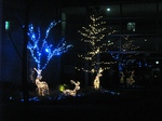 総合南東北福祉センターイルミネーション　The integrated southeast north welfare central illumination